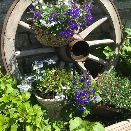 Waldhaus Lechner Steinerkogel Homestay szállás